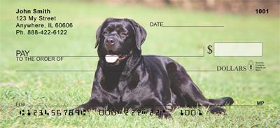 Black Labs On The Grass