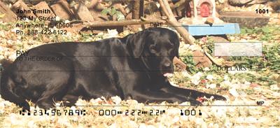 Black Labs On The Grass