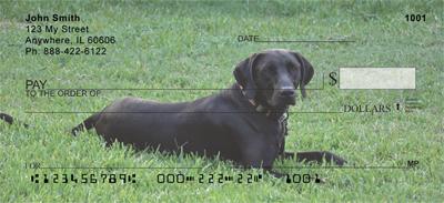 Black Labs On The Grass