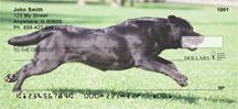 Running Black Labs