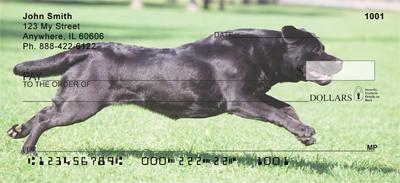 Running Black Labs