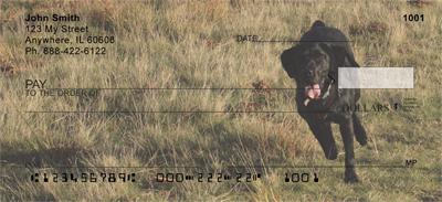Running Black Labs