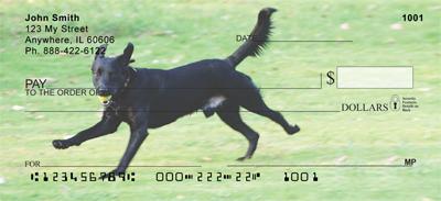Running Black Labs