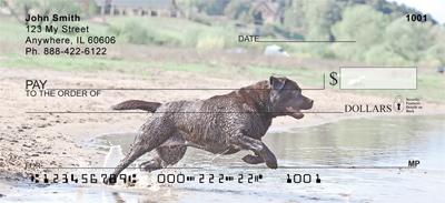 Black Labradors Lakeside