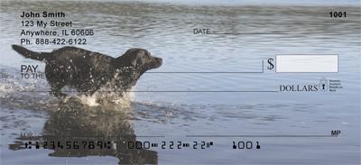 Black Labradors Lakeside