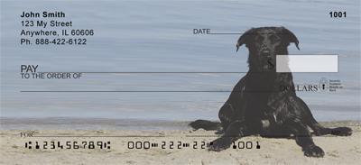 Black Labs On The Shore