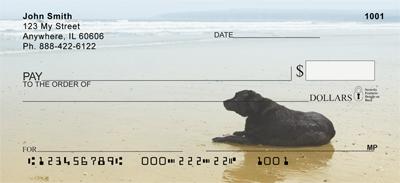 Black Labs On The Shore