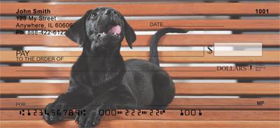 Black Lab Puppies