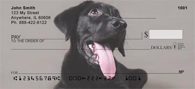 Black Lab Puppies