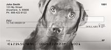 Black Labs