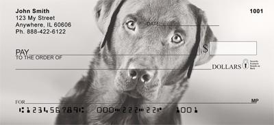 Black Labs
