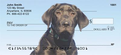 Black Labs