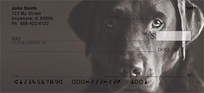 Black Labs