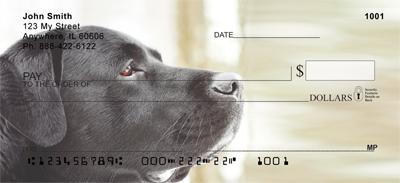 Black Labs