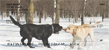 Labrador Tug-of-War
