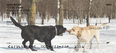 Labrador Tug-of-War