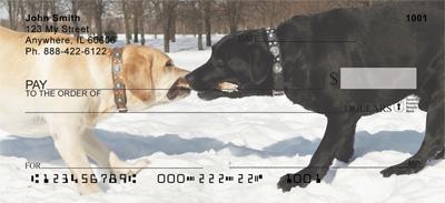 Labrador Tug-of-War