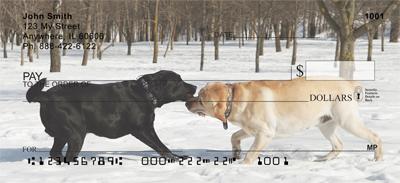 Labrador Tug-of-War