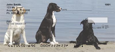 Labradors And Friends