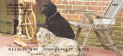 Labradors And Friends