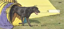 Sporty Black Labs