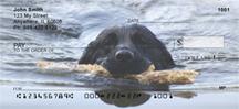 Black Labs At The Beach