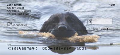 Black Labs At The Beach