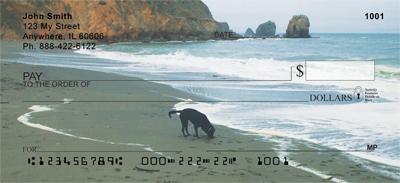 Black Labs At The Beach