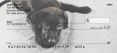 Cuddly Black Labs