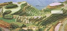 Rice Terraces