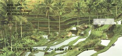 Rice Terraces