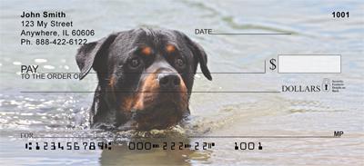 Rottweilers In The Water