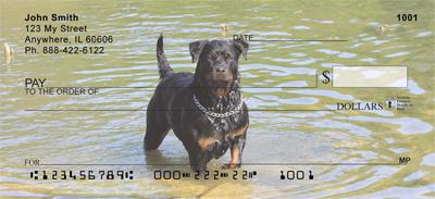 Rottweilers In The Water