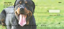 Playful Rottweilers