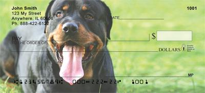 Playful Rottweilers