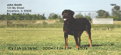 Playful Rottweilers