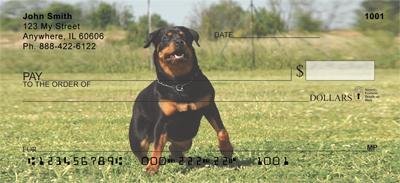 Playful Rottweilers