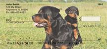 Rotts and Little Friends