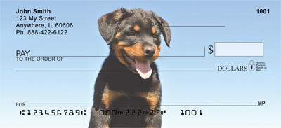 Rottweiler Puppies