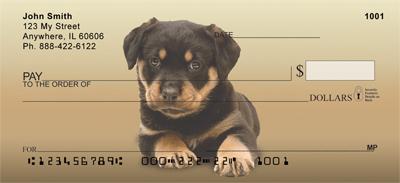 Rottweiler Puppies