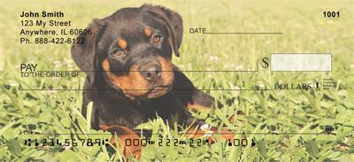 Rottweiler Puppies