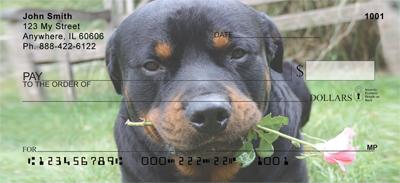 Rottweiler Puppies