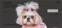 Stylish Shih Tzus