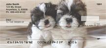 Shih Tzu Buddies