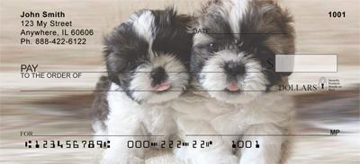 Shih Tzu Buddies