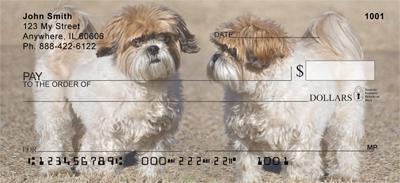 Shih Tzu Buddies