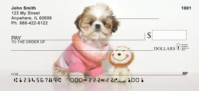 Shih Tzu Buddies