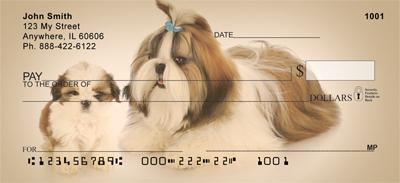 Shih Tzu Buddies