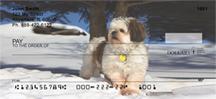 Snowbound Shih Tzus