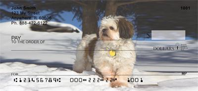 Snowbound Shih Tzus